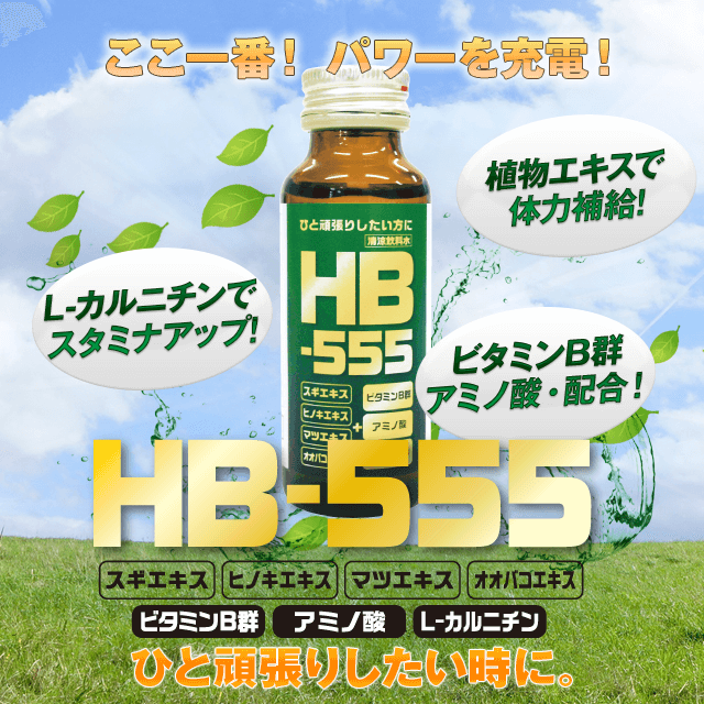 HB-555 ちから