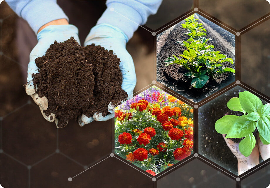 写真｜顆粒HB-101