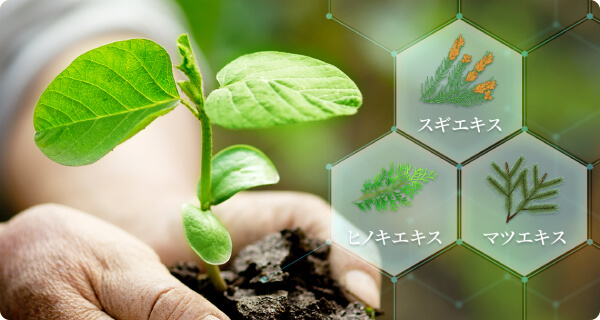 イメージ｜HB-101の成分