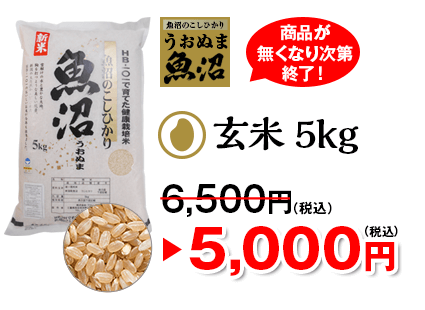 玄米5㎏5000円