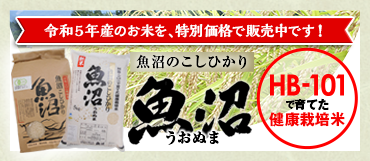 フローラ公式 】天然由来の植物活力液、HB-101 手数料無料